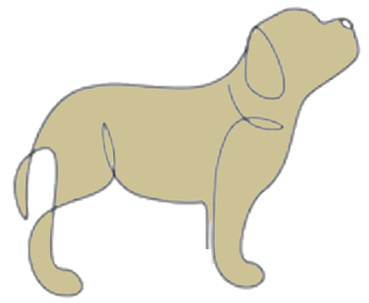 アドビ用ソフト